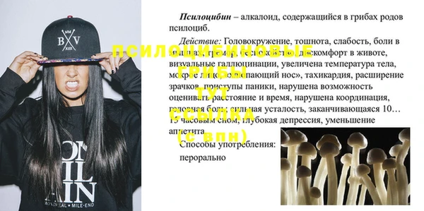 дмт Армянск