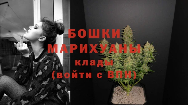 дживик Арсеньев